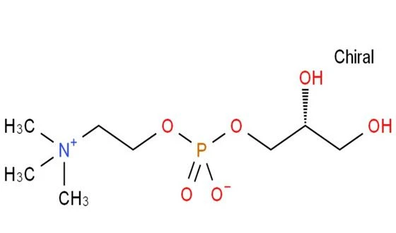 Alpha GPC caspule