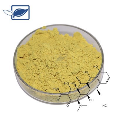 Hidreaclóiríd Doxycycline